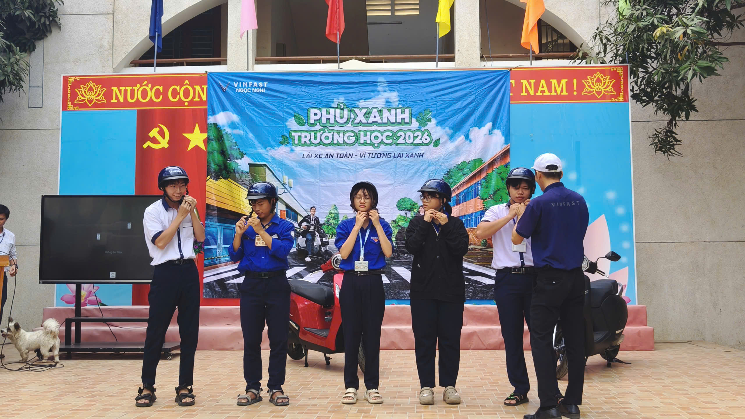 phu xanh truong hoc THPT Tuy Phong 05