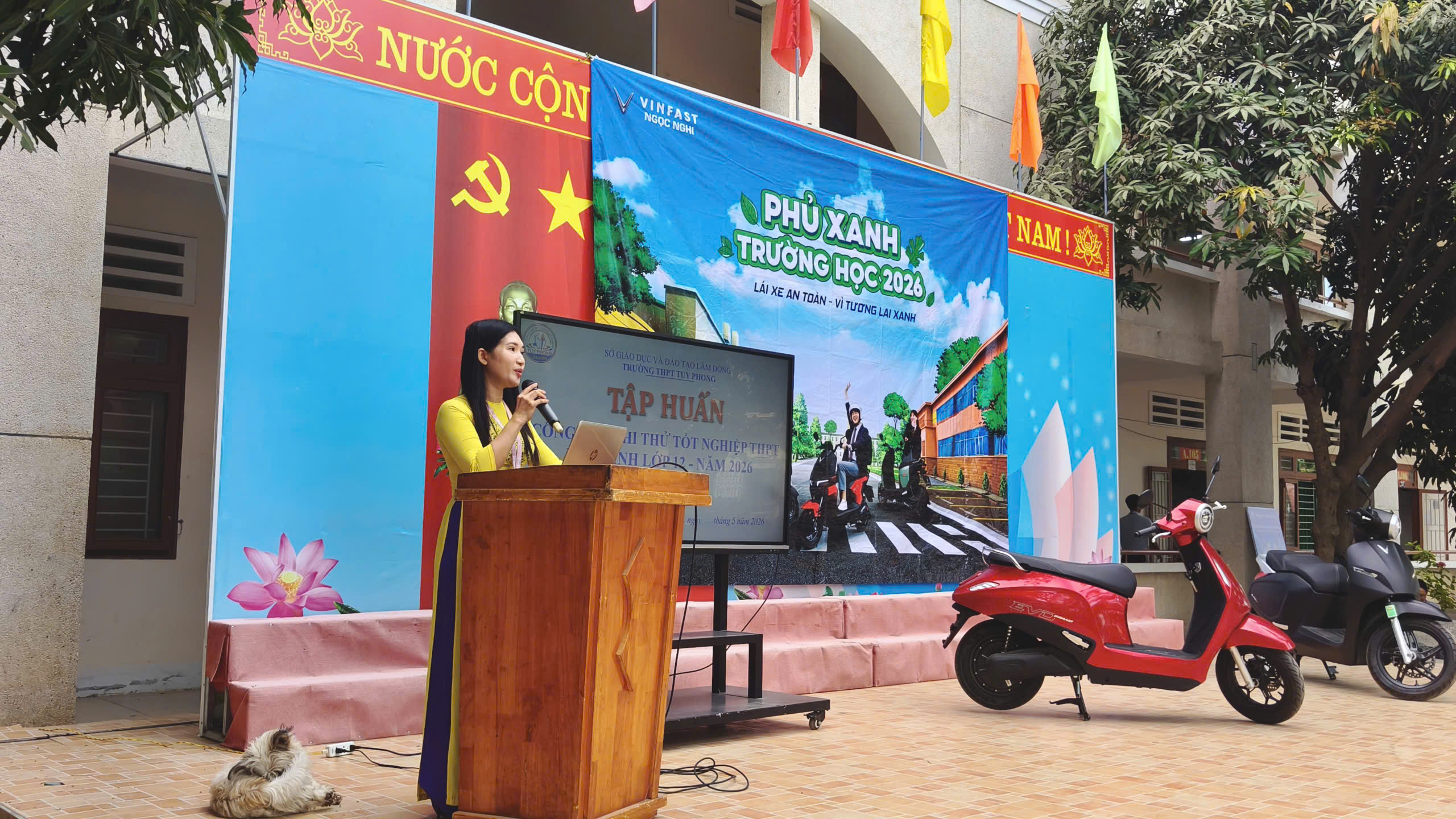 phu xanh truong hoc THPT Tuy Phong 10